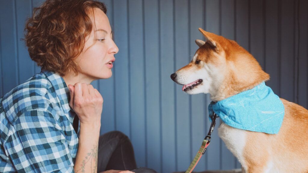 lady in a blue checked shirt sat opposite a dog wearing a blue bandana looking like she is talking to the dog