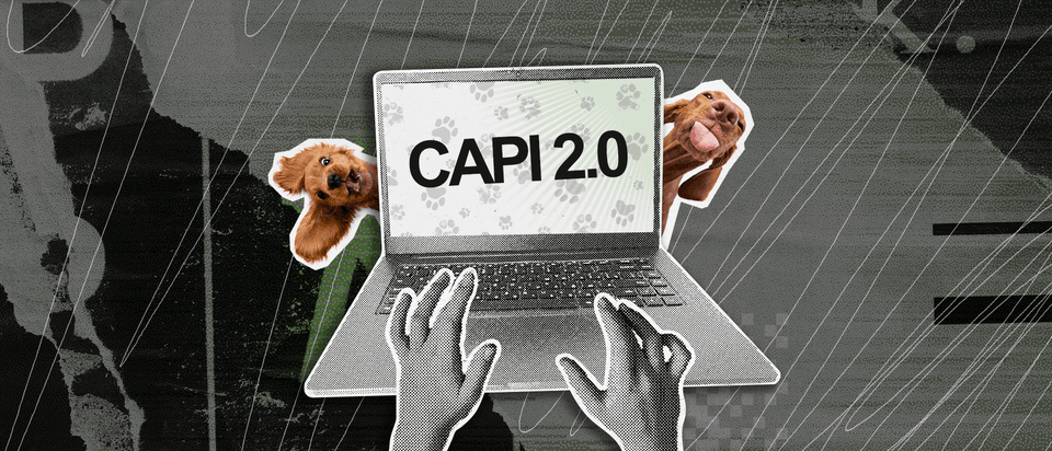 Illustration of hands on a laptop with CAPI 2.0 on screen with a dog either side
