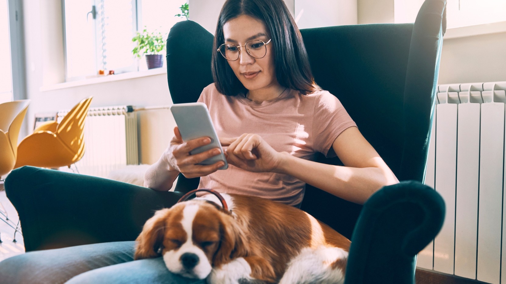 A lady looking at her phone sat on a velvet chair with a dog on her lap